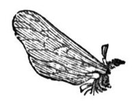 437072.jpg