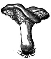 437042.jpg