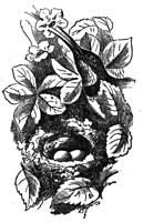 437024.jpg