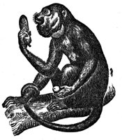 437016.jpg