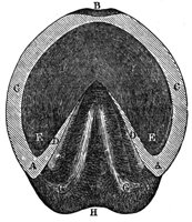 437004.jpg