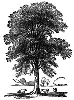 436984.jpg