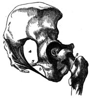436944.jpg