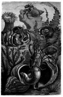 436914.jpg