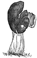 436880.jpg