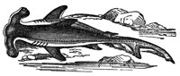 436806.jpg