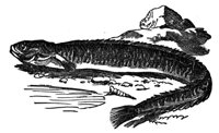 436752.jpg