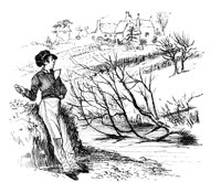 429706.jpg