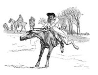 429638.jpg