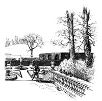 429552.jpg