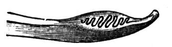 420130.jpg