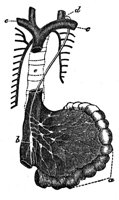 420110.jpg