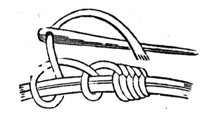 420098.jpg