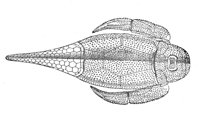 420084.jpg