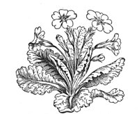 420064.jpg