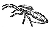 419902.jpg