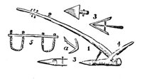 419868.jpg