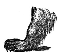 419854.jpg