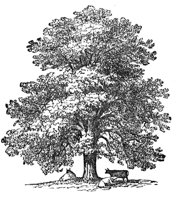 419842.jpg