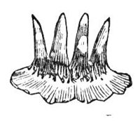 419840.jpg