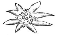 419838.jpg