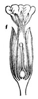 419808.jpg