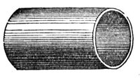 419798.jpg