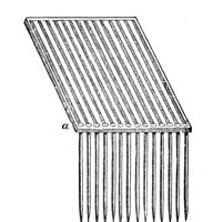 419784.jpg