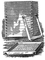 419684.jpg