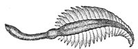 419676.jpg