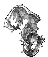 419654.jpg