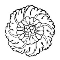 419614.jpg