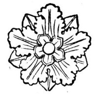 419612.jpg