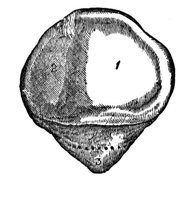 419608.jpg