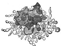 419584.jpg