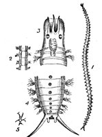 419546.jpg