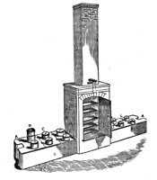 419508.jpg
