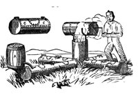 419504.jpg