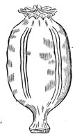 419458.jpg