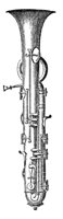 419450.jpg