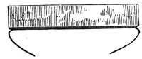 419384.jpg