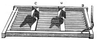 419366.jpg