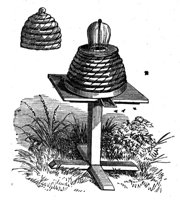 419348.jpg