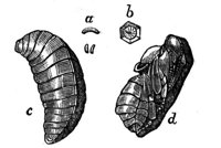 419344.jpg