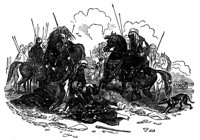 419338.jpg