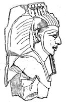 419328.jpg