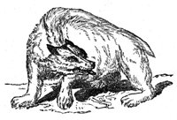 419324.jpg