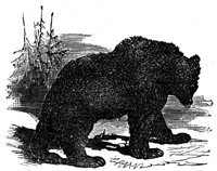 419320.jpg