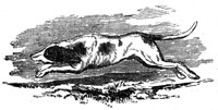 419316.jpg