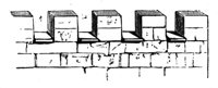 419306.jpg